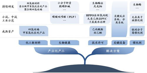 美邦科技開(kāi)啟A股申購(gòu)，聚焦四氫呋喃與甲苯氧化產(chǎn)品，生物基材料研發(fā)引關(guān)注